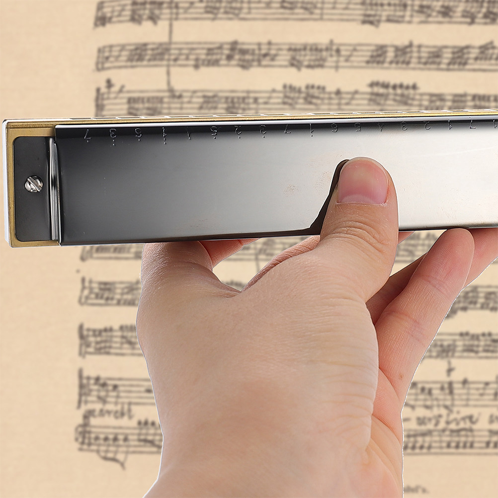C Key Beginner Harmonica for K - Musical Instrument Using Mouth recension och pris