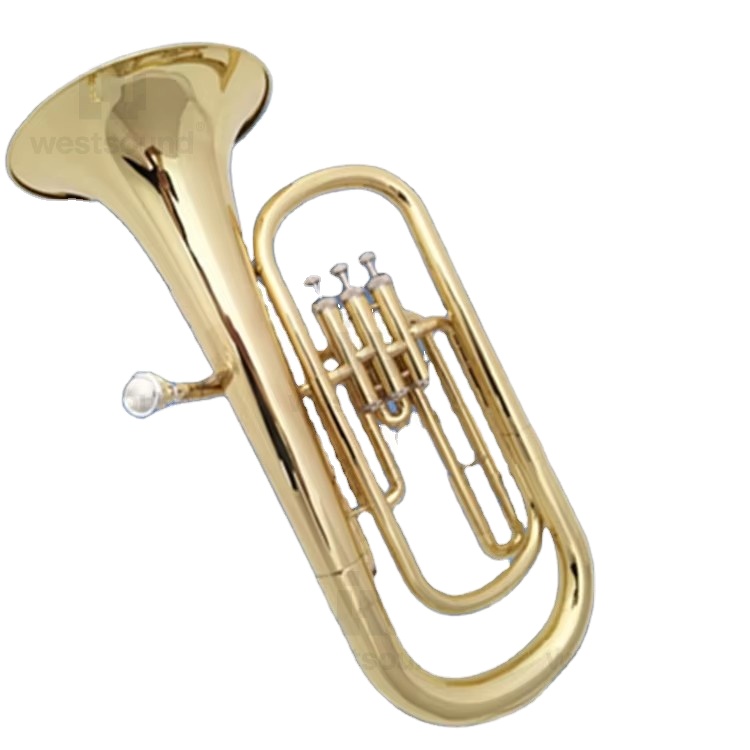 Baritone Euphonium in Bb Tune  - Musical Instrument Euphonium recension och pris