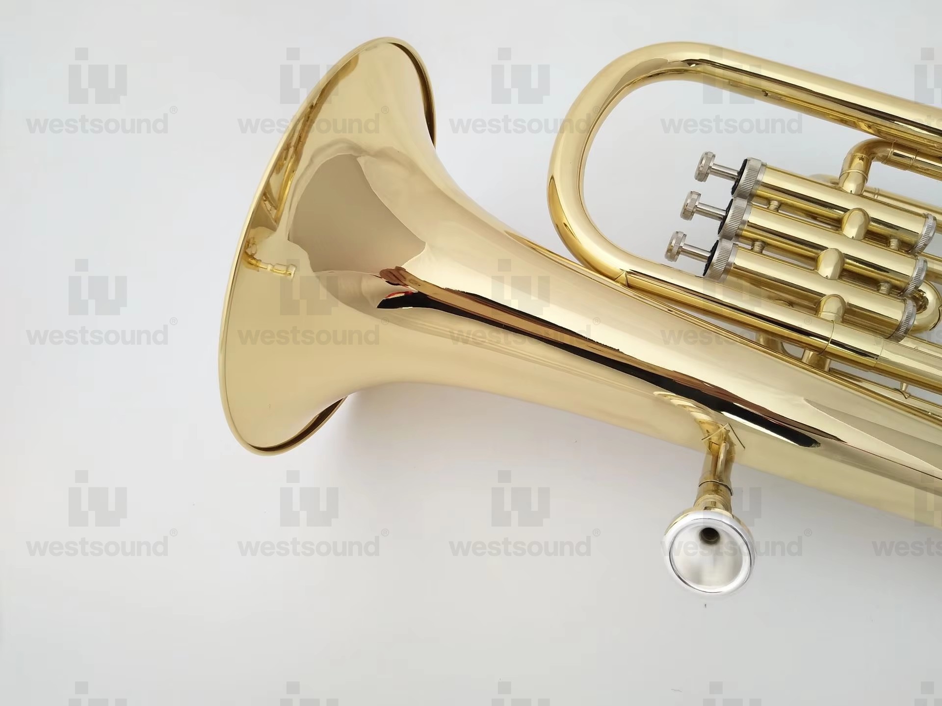 Baritone Euphonium in Bb Tune  - Musical Instrument Euphonium recension och pris